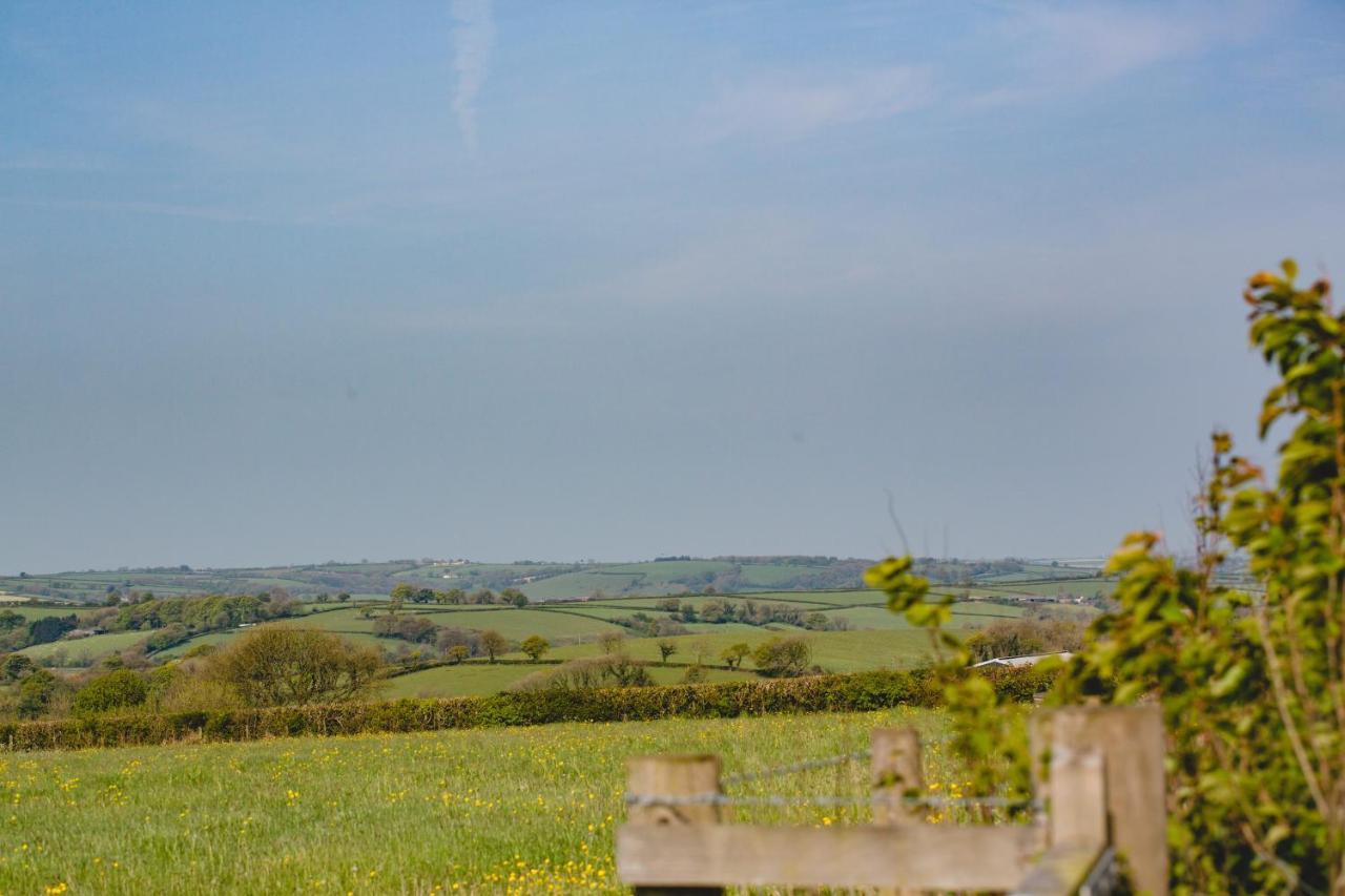 Maes Y Mel- A Couples, Pet Friendly, Rural Romantic Getaway With Countryside Views Gellywen Eksteriør billede
