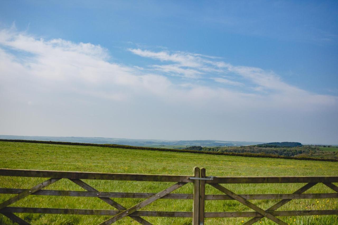 Maes Y Mel- A Couples, Pet Friendly, Rural Romantic Getaway With Countryside Views Gellywen Eksteriør billede