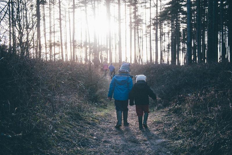 Maes Y Mel- A Couples, Pet Friendly, Rural Romantic Getaway With Countryside Views Gellywen Eksteriør billede